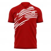 Nurnberg 2025-2026 Home Concept Football Kit (Libero)