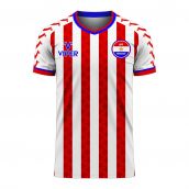 Paraguay 2020-2021 Home Concept Football Kit (Viper)