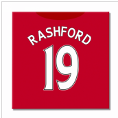 Man United 16-17 Canvas Print (Rashford 19)