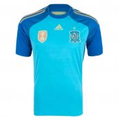 2014-2015 Spain Home Goalkeeper Shirt (Blue)