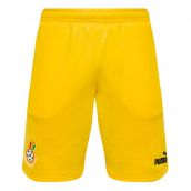 2023-2024 Ghana FtblCulture Shorts (Yellow)