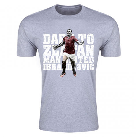 Zlatan Ibrahimovic Dare to Zlatan Man Utd T-Shirt (Grey) - Kids