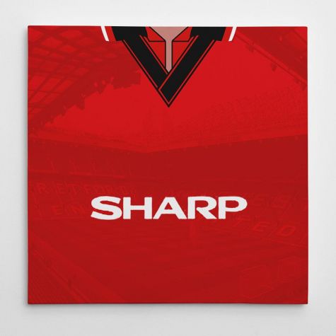 Manchester United 94-96 Football Canvas Print