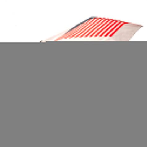 England FA Umbrella