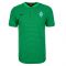 Werder Bremen 2016-2017 Authentic Grand Slam Polo Shirt (Green)