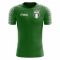 2025-2026 Nigeria Home Concept Football Shirt - Adult Long Sleeve