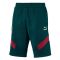 Italy 2019-2020 Iconic MCS Shorts (Pine)