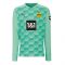 Borussia Dortmund 2020-2021 Home Goalkeeper Shirt (Green)