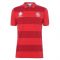 Wales 2021 Stripe Polo Shirt (Red)