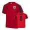 Wales Sports Training Jersey (Ramsey 8)