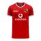 Al Ahly 2025-2026 Home Concept Football Kit (Libero) - Kids