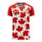 Canada 2025-2026 Home Concept Football Kit (Libero) - Adult Long Sleeve