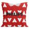 Hamilton Accies 91-93 Football Cushion