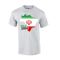 Iran 2014 Country Flag T-shirt (grey)