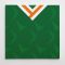 Ireland 1990 Football Canvas Print