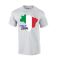 Italy 2014 Country Flag T-shirt (grey)