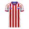 Paraguay 2020-2021 Home Concept Football Kit (Viper)