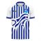 Pescara 2020-2021 Home Concept Football Kit (Libero)