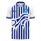 Pescara 2020-2021 Home Concept Football Kit (Libero) - Adult Long Sleeve