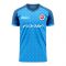 Slovan Bratislava 2020-2021 Home Concept Football Kit (Libero)