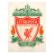 Liverpool FC Crest A4 Car Decal