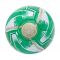 Celtic FC Turbine Skill Ball