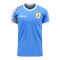 Uruguay 2020-2021 Home Concept Football Kit (Libero) - Adult Long Sleeve