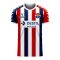 Willem II 2020-2021 Home Concept Football Kit (Viper)
