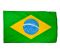 Brazil World Cup Flag