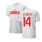 2022-2023 Switzerland Away Shirt (ZUBER 14)