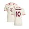 2024-2025 Bayern Munich Third Shirt (Your Name)