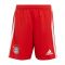 2022-2023 Bayern Munich Home Shorts (Red)