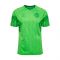 2022-2023 Denmark Home Goalkeeper Shirt (Green) - Kids