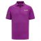 2023 Mercedes Lewis Hamilton Polo Shirt (Purple)