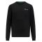 2023 Mercedes AMG Petronas Long Sleeve Tee (Black)