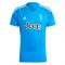 2023-2024 Juventus Home Goalkeeper Shirt (Blue)