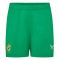 2023-2024 Republic of Ireland Away Shorts (Green)