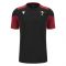 2023-2024 Wales Rugby WRU Training Gym Shirt (Black)