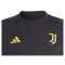 2023-2024 Juventus Cotton Tee (Black)