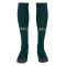 2023-2024 Arsenal Third Socks (Green)