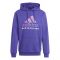 2024-2025 Germany DNA Hooded Top (Purple)