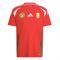 2024-2025 Hungary Home Shirt