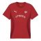 2024-2025 Serbia Pre-Match Jersey (Dark Cherry)