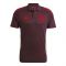 2024-2025 Bayern Munich Polo Shirt (Shadow Maroon)