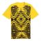 2024-2025 Borussia Dortmund Prematch SS Shirt (Yellow) - Kids