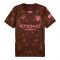 2024-2025 Man City Third Goalkeeper Shirt (Espresso Brown)