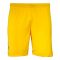 2024-2025 Romania Home Shorts (Yellow)