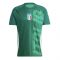2024-2025 Italy Pre-Match Shirt (Green)