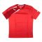Puma Training Tee (Red)