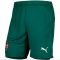 2025-2026 Portugal Home Shorts (Green)